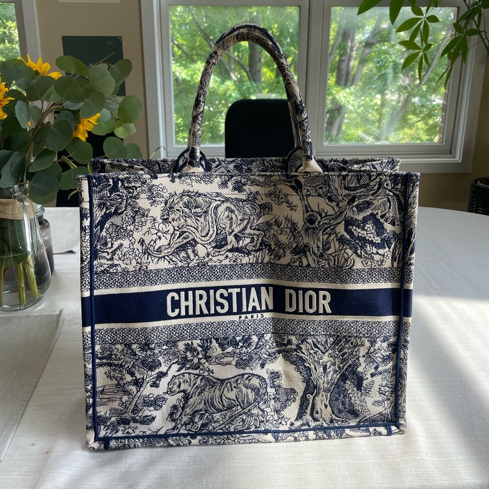 Dior Book Tote